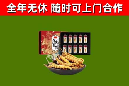 涟水回收冬虫夏草价格